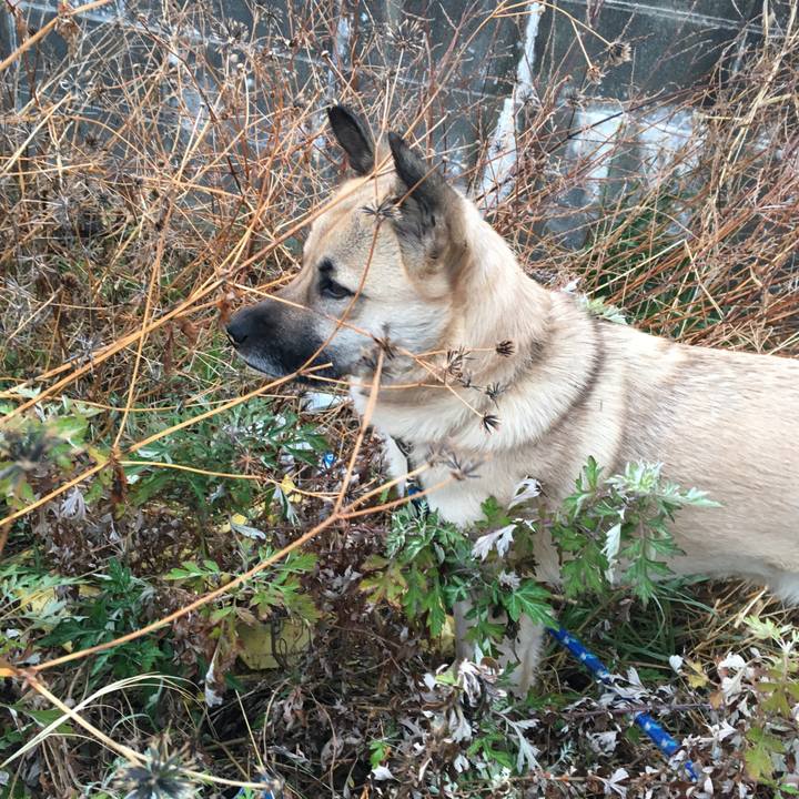 B5b2e914 5481 452b b7b3 5cddb8d8c45e 1516104335905