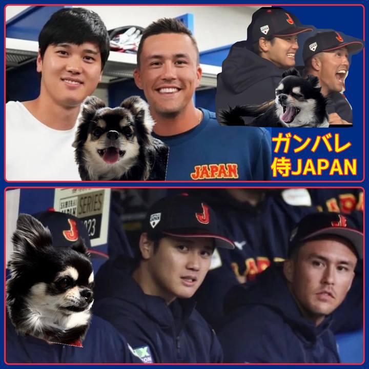 B5b311a4 e7e5 4956 9cde 8dc47053f226 1678833083915