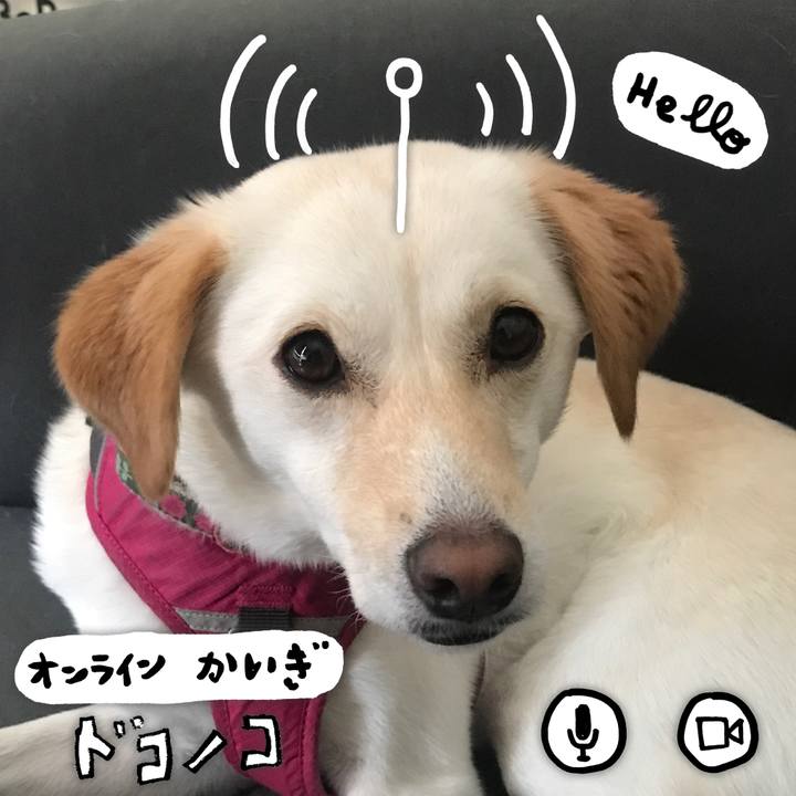 B5b31c02 b39d 4018 8b15 4d21f3337e01 1590767269933