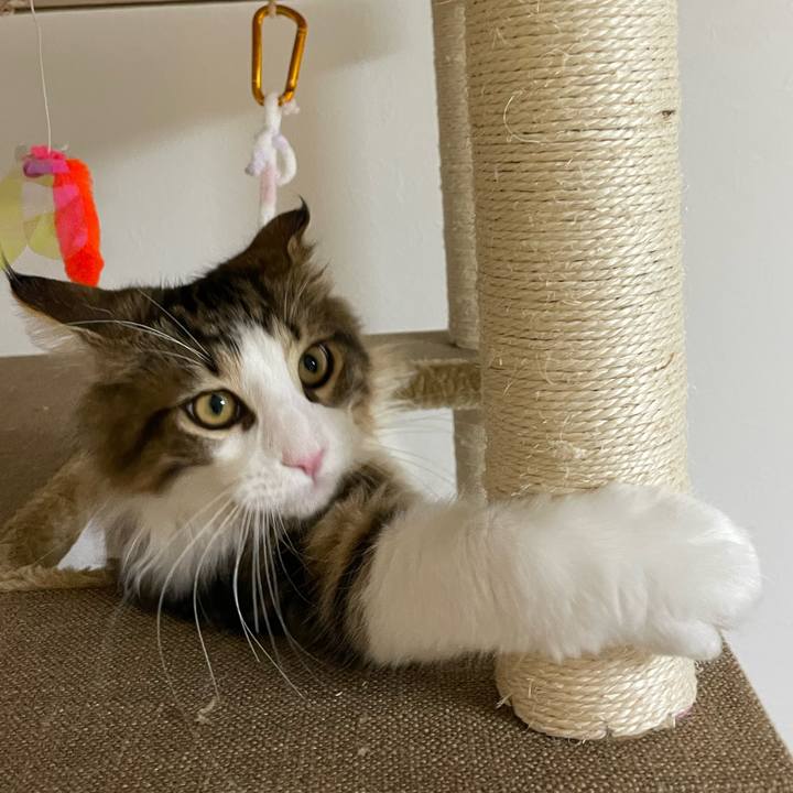 B5b3289d c4e1 4b53 bdfb 547ac614a028 1637141563164