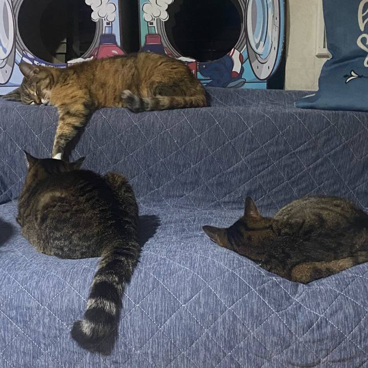 B5b32c73 2594 4628 9860 a9ad2749bedd 1716752020665