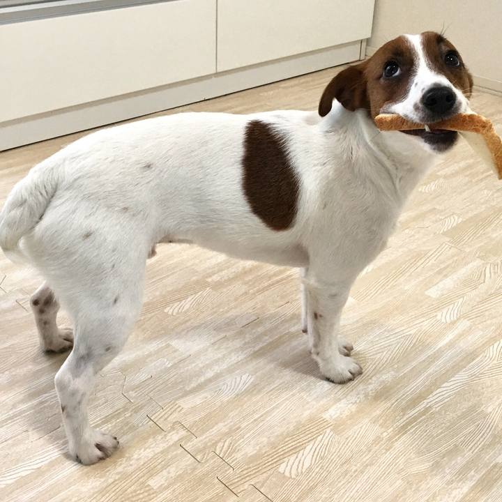 B5b33880 1492 47fd 8060 3effbf45fc3b 1519126046260