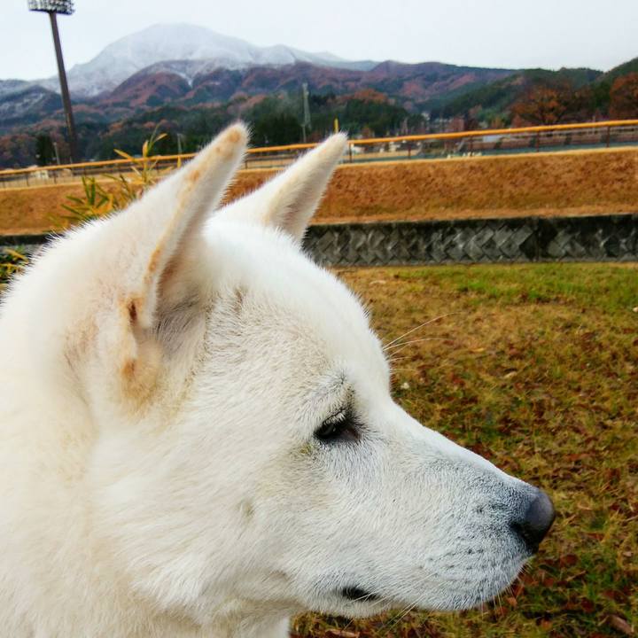 B5b33d92 ebe0 4247 a350 98576709dfea 1511567136840