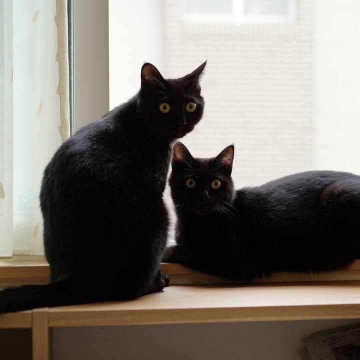 B5b33f9e af5b 4a7a b635 f7553e53ee5d 1566430854928