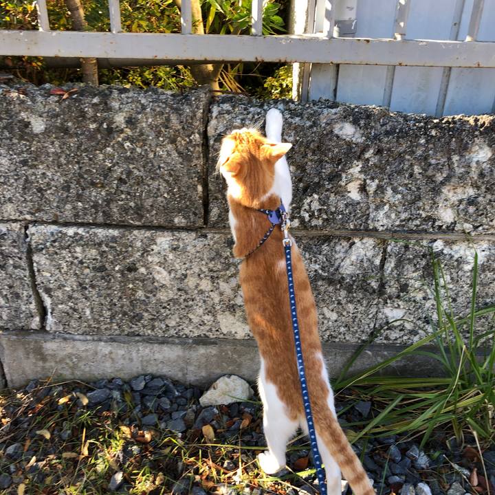 B5b35bcc 6cf8 4c45 a07c 556047f97988 1543675584622