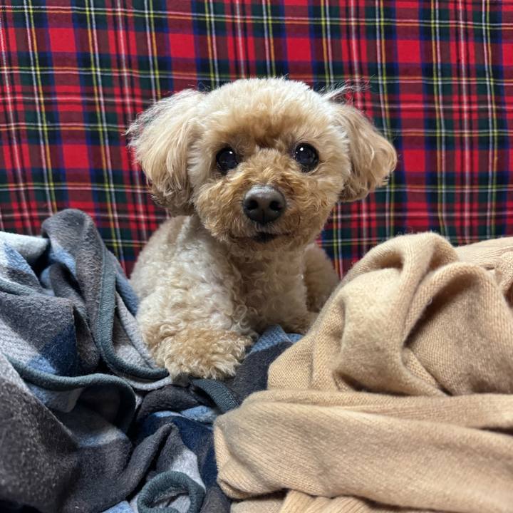 B5b38a62 2bb0 4fa3 9122 9953047203ef 1776167225803