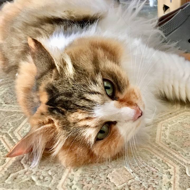 B5b38ad9 94fb 4d02 9028 fab7a2fc142a 1566102993306