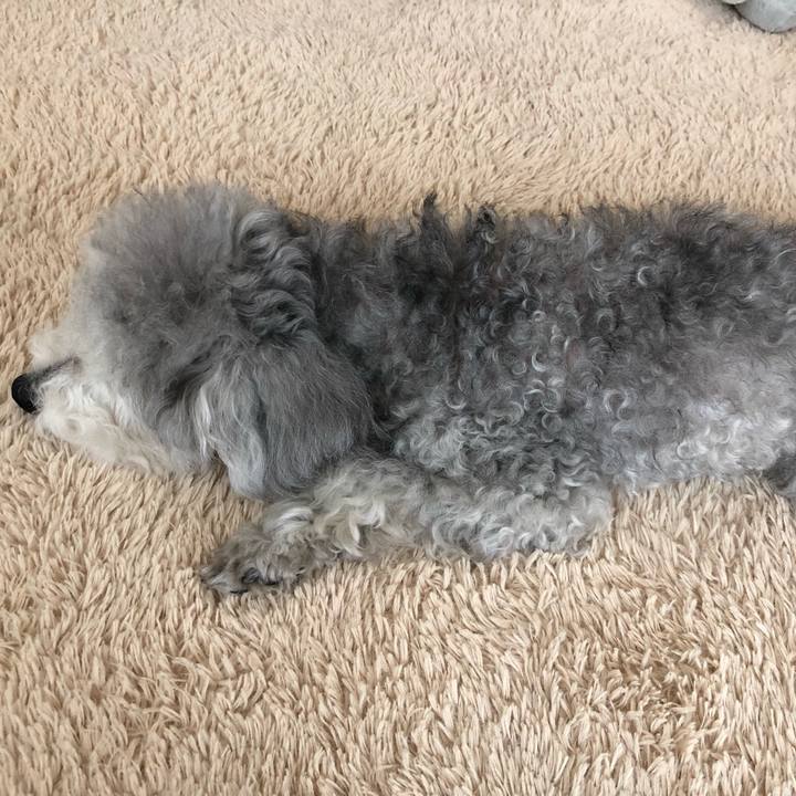 B5b3fa1e cf6f 4611 9bb3 5dcf41e15272 1551755479201