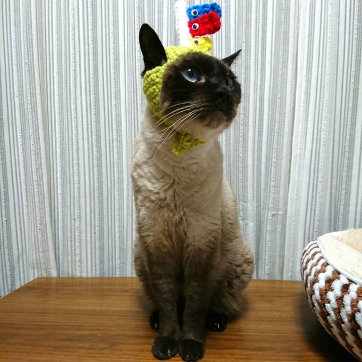 B5b41a9b 638f 466d 8fa3 27d73e0bc0eb 1557058593934