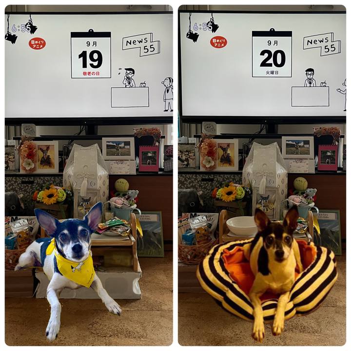 B5b42310 6027 4c40 96d1 efde582a4237 1663628608326