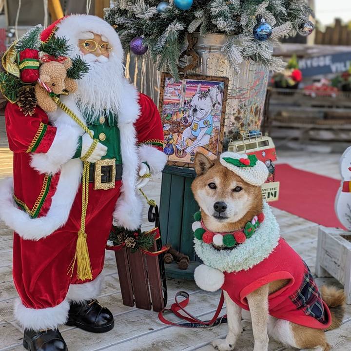 B5b44f54 148d 45ab 883d 5c96a872c212 1703500984632