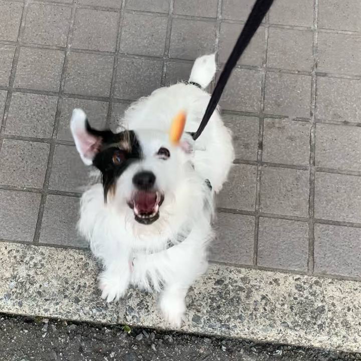 B5b4585e 8d1a 4a02 b2b1 dbe1d3dd151e 1662281029694