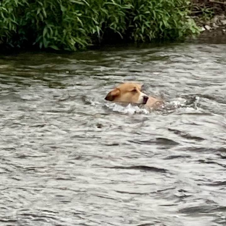 B5b470fd 5902 41c5 b5e3 69e1b5347d97 1721274510268