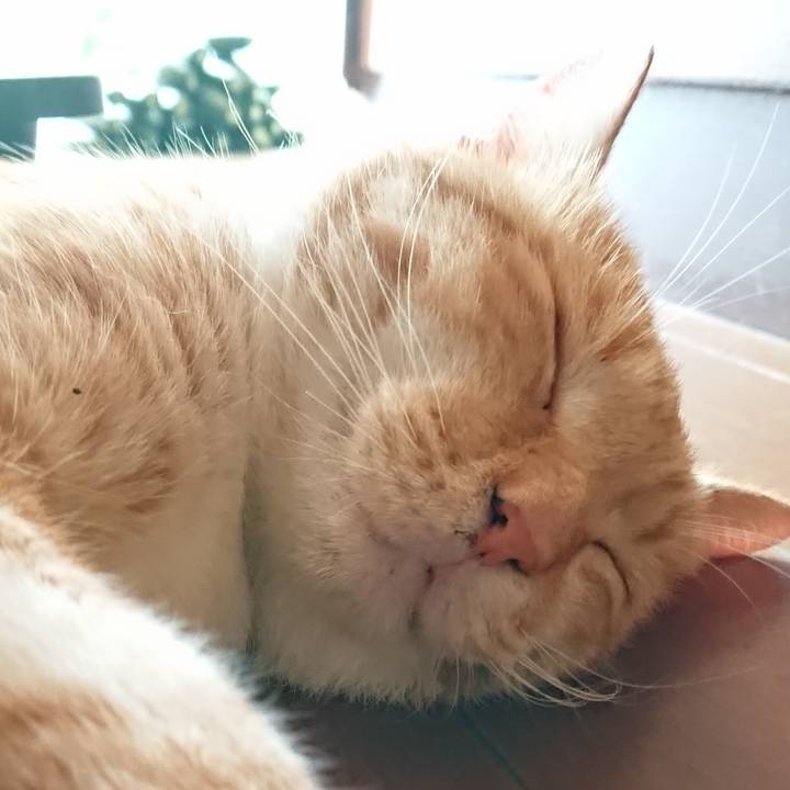 B5b47fda 2d7a 439d b6d7 c77c4f390cc1 1565836452399