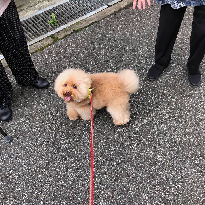 B5b4bd0b 694b 4e71 8f81 ad8a128001d5 1536642354891