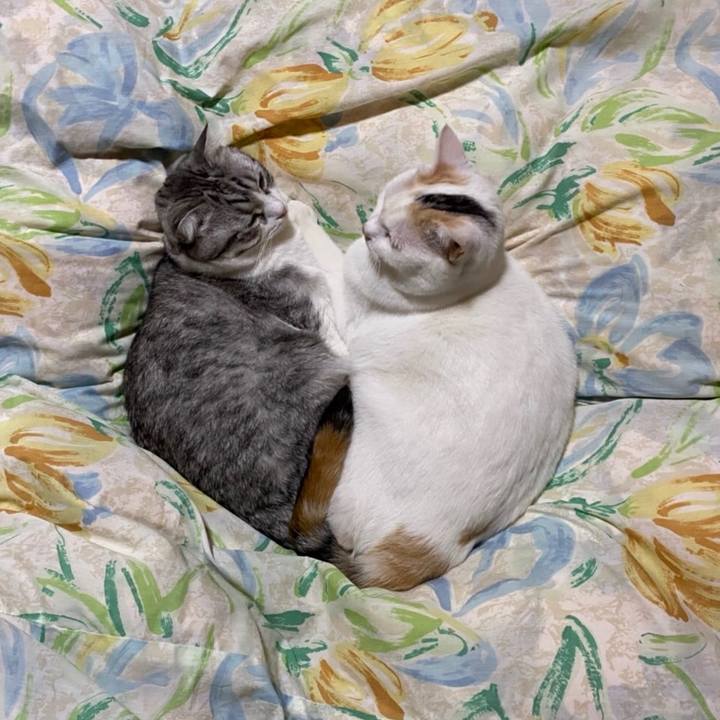 B5b4e473 7084 4f37 ad9f 76fcf8ef1d1d 1634855096042