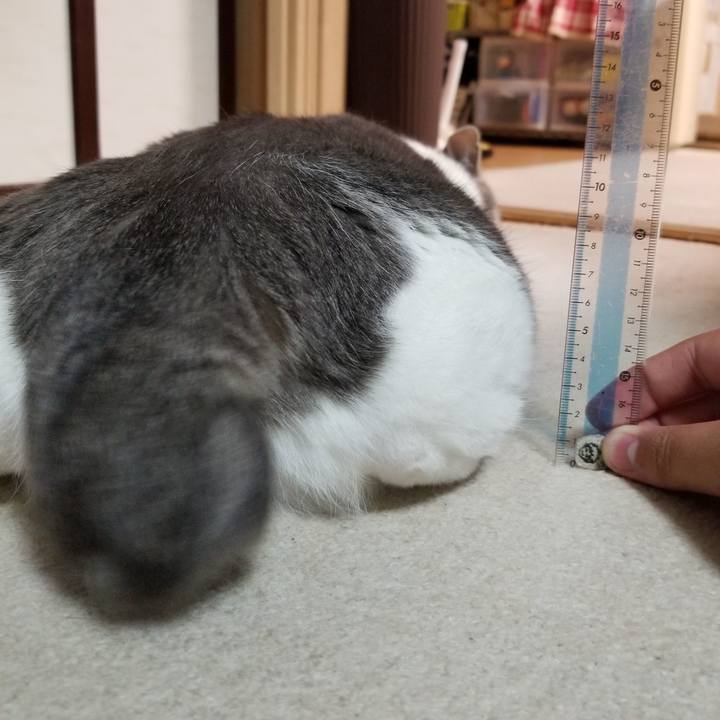 B5b50253 2878 4338 8270 661e375ddbad 1654786699677