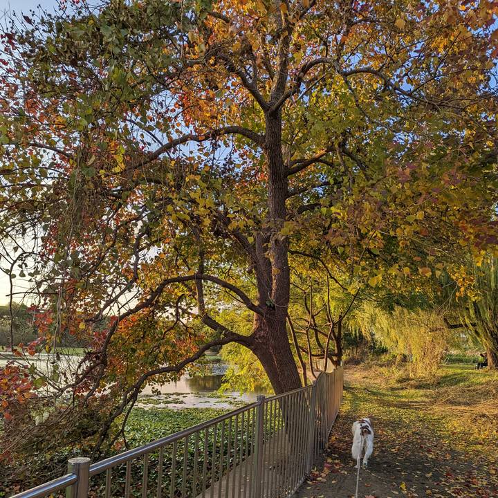 B5b5182e 5d5a 484d 8e99 4eb32ea82c15 1668506206039