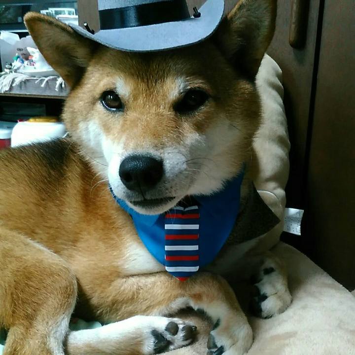 B5b5199e 3e83 4fb3 8f37 3a40e48a697b 1534741955586