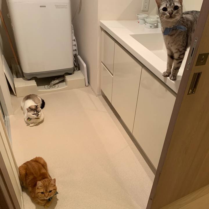 B5b53063 9c8a 4fcd 95c9 1e972276896a 1564902469945