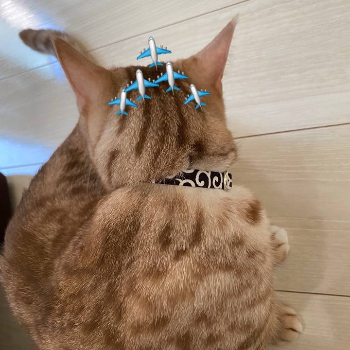 B5b535ed ce80 49b5 8151 1a38421043c3 1627172595592