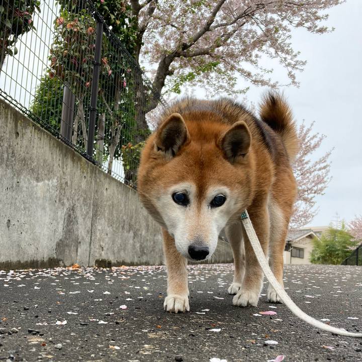 B5b56c4c 5644 4f68 ab51 3b95139897ab 1744332330639