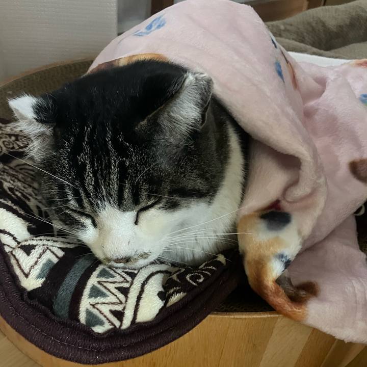 B5b57e27 795e 4129 aaae 6d7ebff92f33 1703587228022