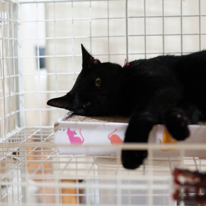 B5b58e1f 17c1 46d0 b12a 272e94a72ef0 1532908960953