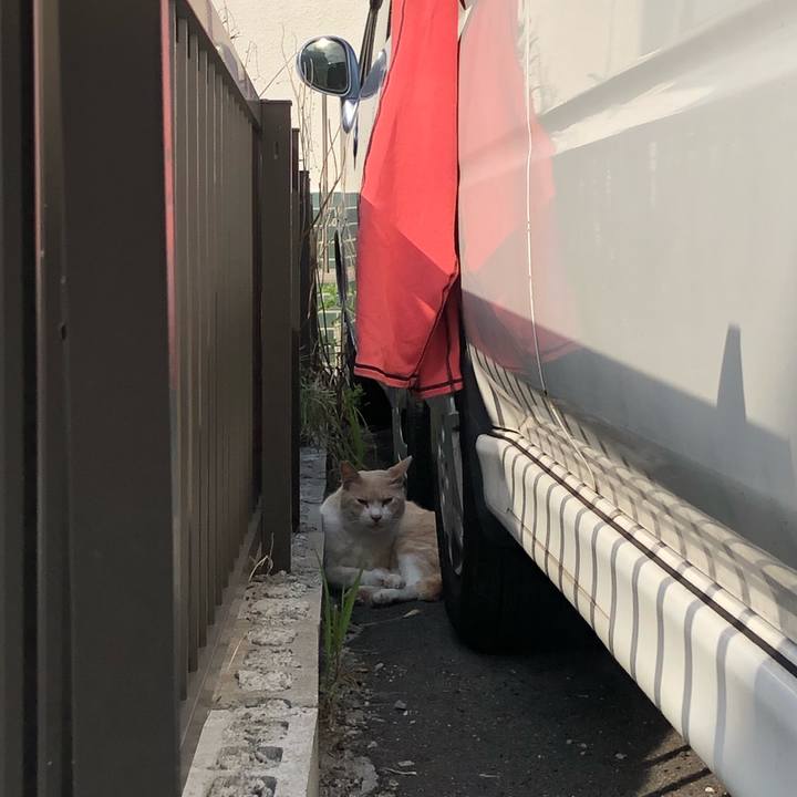 B5b5d513 766a 4d9e b66b 9cdbb0129d02 1626242472002