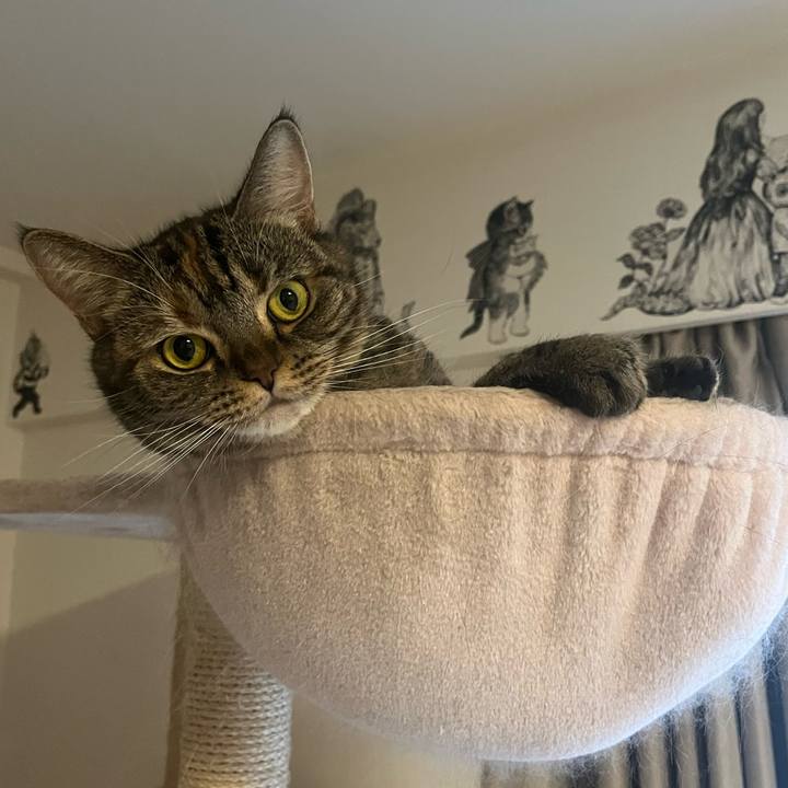 B5b5de59 4861 41d7 a9d4 df23a4b09404 1734789294369