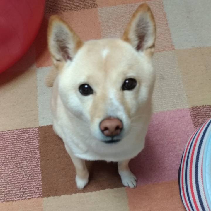 B5b61e05 fb96 4aba 8da1 bc9234bab13c 1576970799603