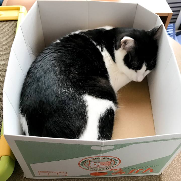 B5b62091 2ee1 458a b0c7 a4b6670ef275 1533168724852