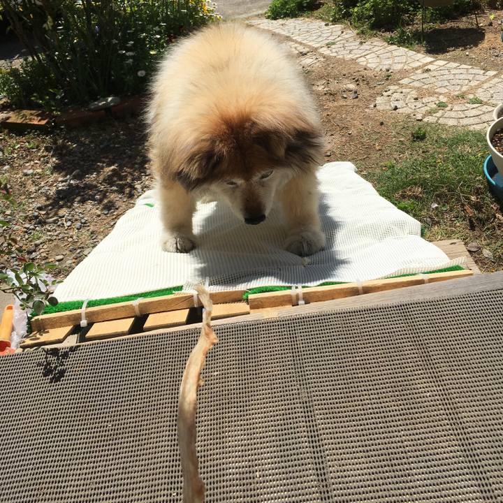 B5b63356 1fd3 49bb 83e6 4d8d4b50a42b 1625017534724