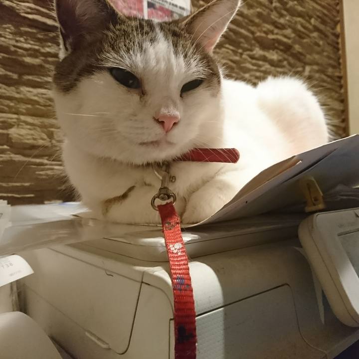 B5b63e2d a5fe 4091 aae9 b79fbbb5a3ad 1537963205505