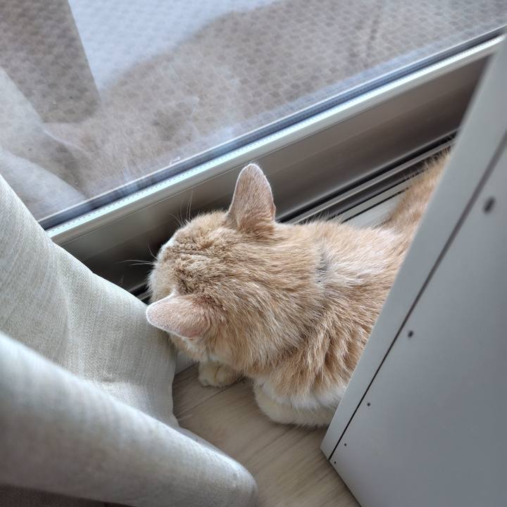 B5b654e6 6171 4e84 aecb c6961db95042 1722206605512