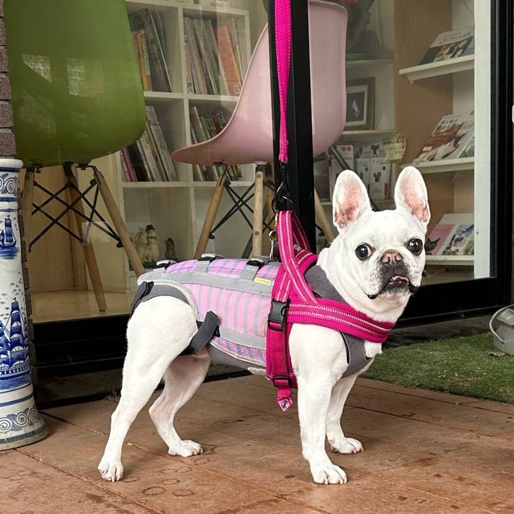 B5b656ba 28a8 49ee b6bd a7fcac63b1a3 1708325555975