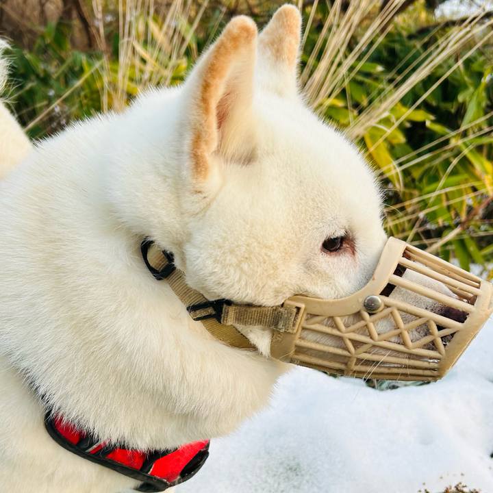 B5b6728c af97 47be aba4 95ebb9e53098 1764031299311