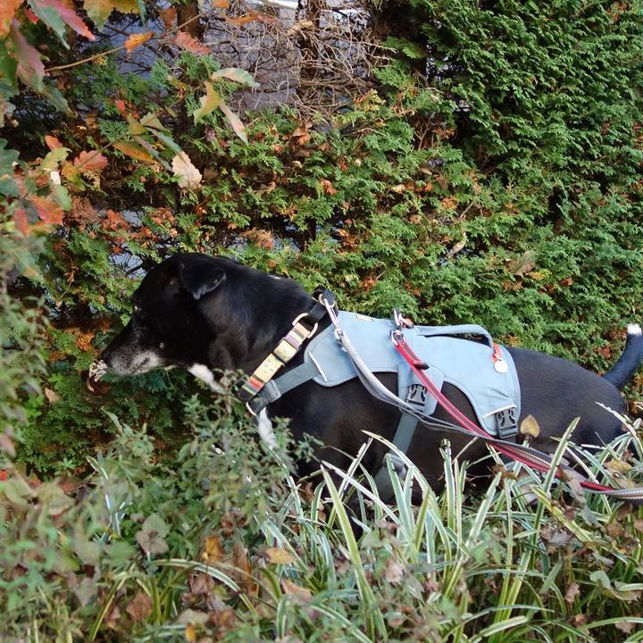 B5b68800 4614 4dbc bac2 b10202c918e7 1732926075533