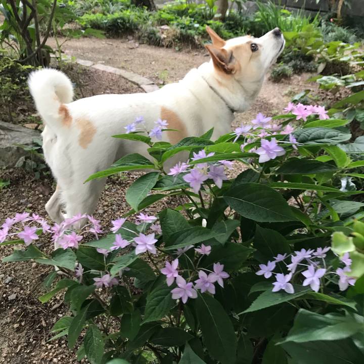 B5b68cdd a9c3 4b34 bd8d c527380c6ecd 1621913081377