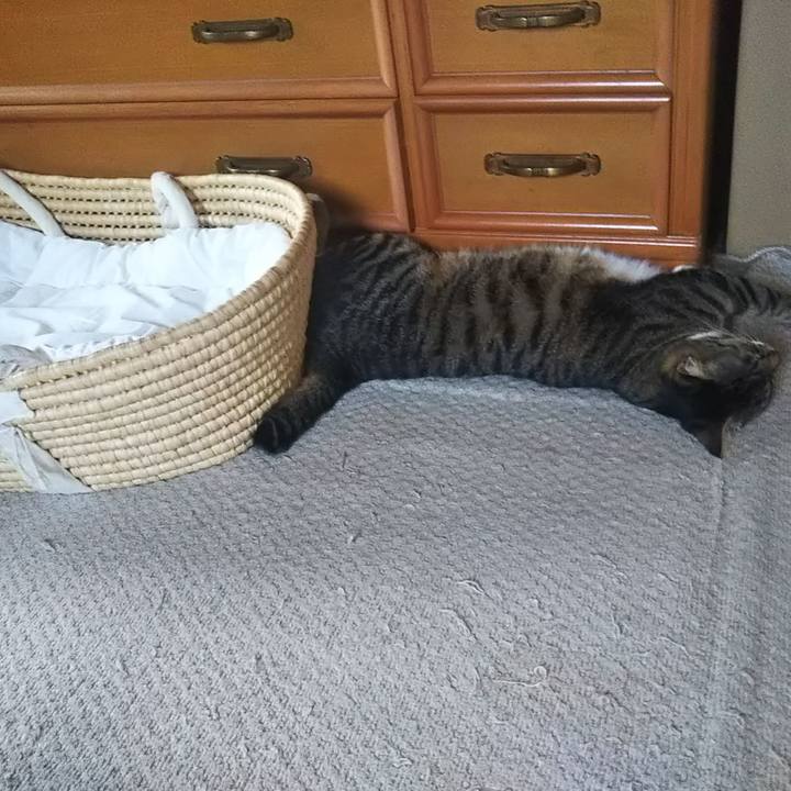 B5b6af4e 4dde 4935 af70 6db2150edd19 1614181988949