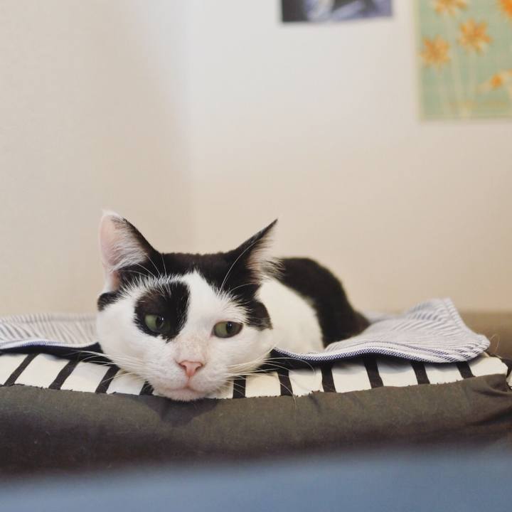 B5b6c672 6ae1 446c 8cc6 78a88e594089 1532091615499