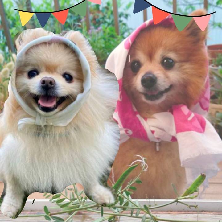 B5b6e8db 5f34 40ca 9406 24776ff457db 1740313095514