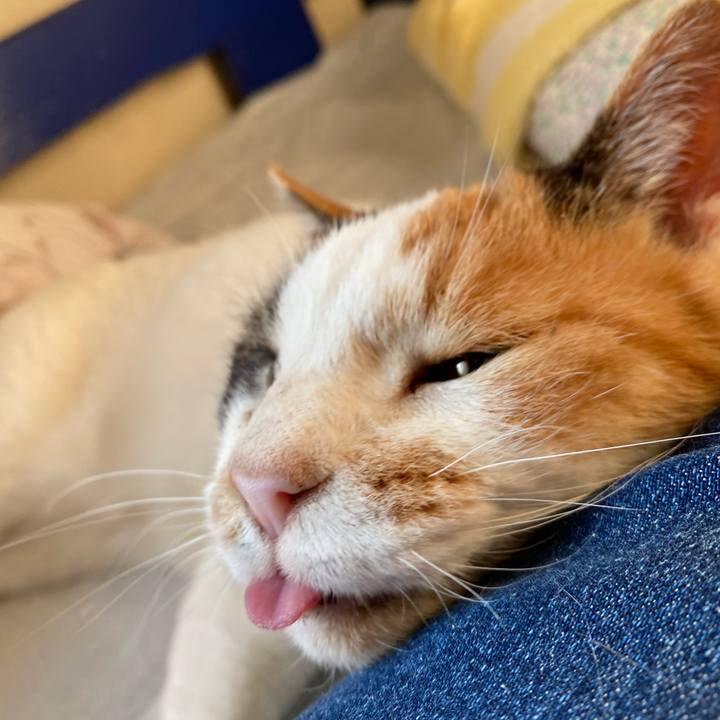 B5b6ed87 005b 418d 8de5 a1d63bc14f46 1591521668132