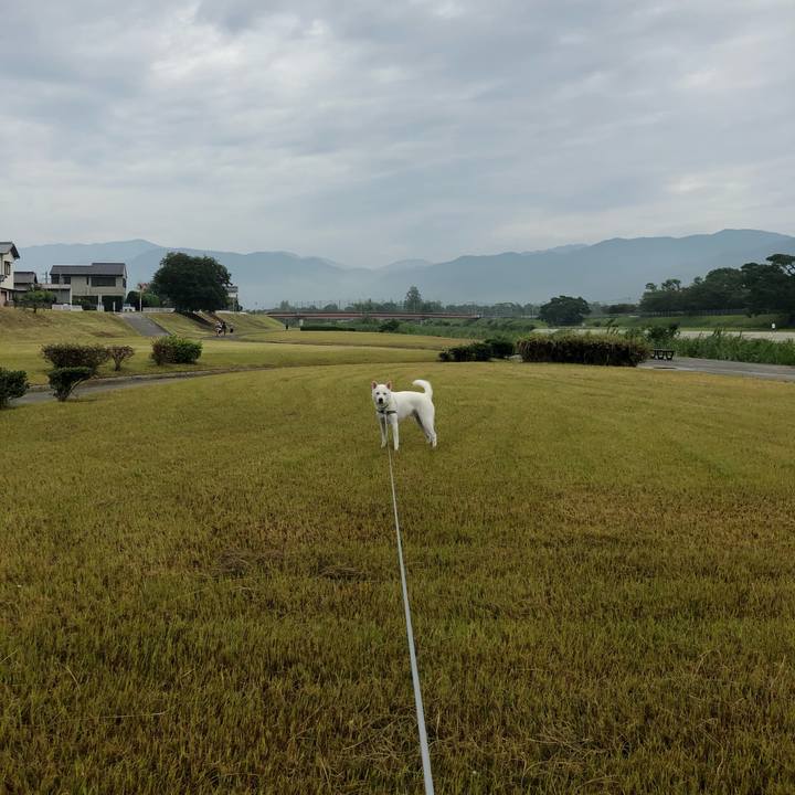 B5b71307 8cba 4e90 b28b b2fc13abec71 1599277535496