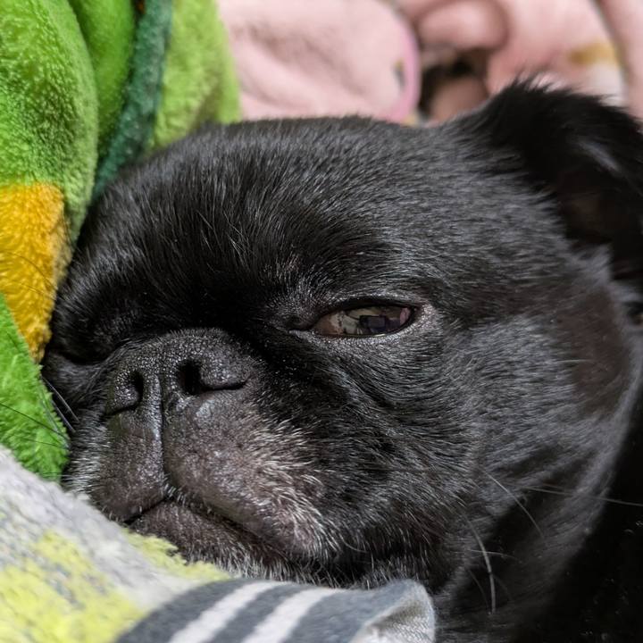 B5b72d22 8309 481c b594 5f3aca3f2b29 1774617450921