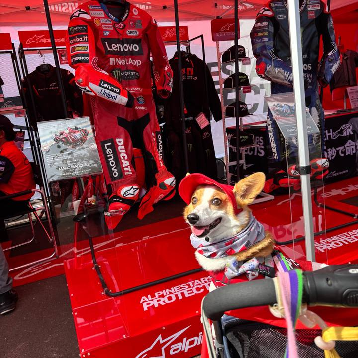 B5b73479 4b5a 4191 a4a8 5d781b5ce83b 1758860998413