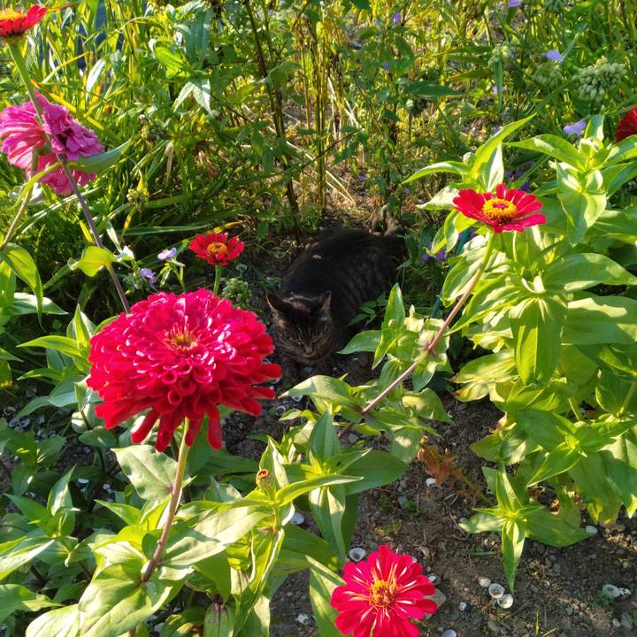 B5b74ae2 8026 48ae 8f3e 58d445be2d0b 1690409462681