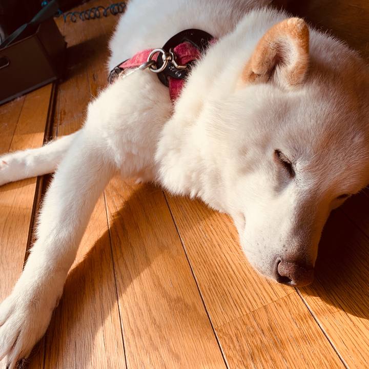 B5b755f5 aa1e 4e64 883c 4f60348711ce 1583736643663