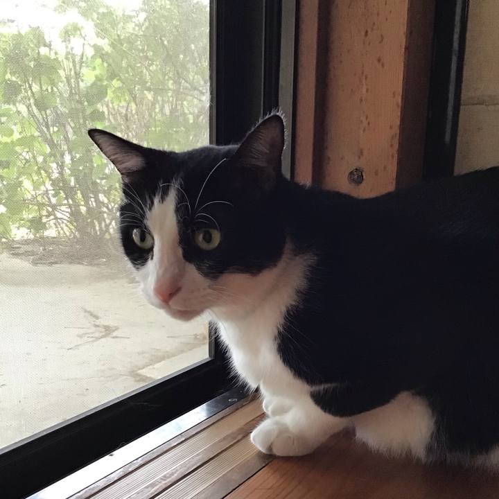 B5b7a565 733c 48e8 8f70 4e22de70acf5 1758874860748