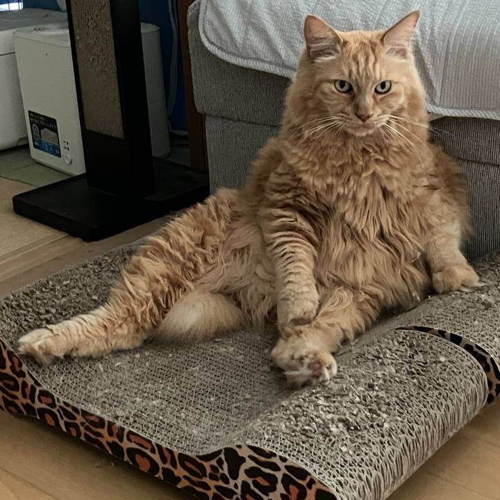 B5b7afd7 7860 4525 9186 64f82b01f463 1757978178207